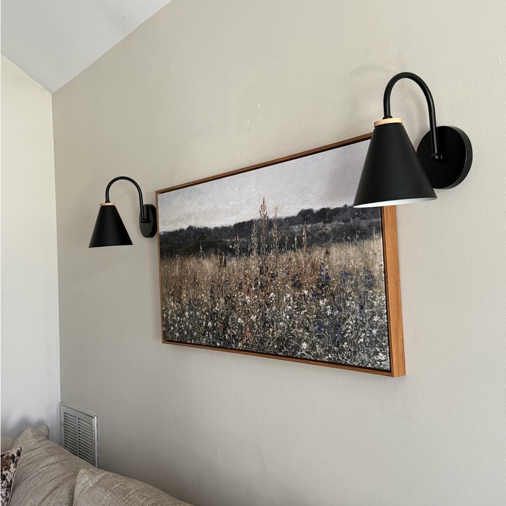 Modern Black Wall Sconces for Art Display - Pair